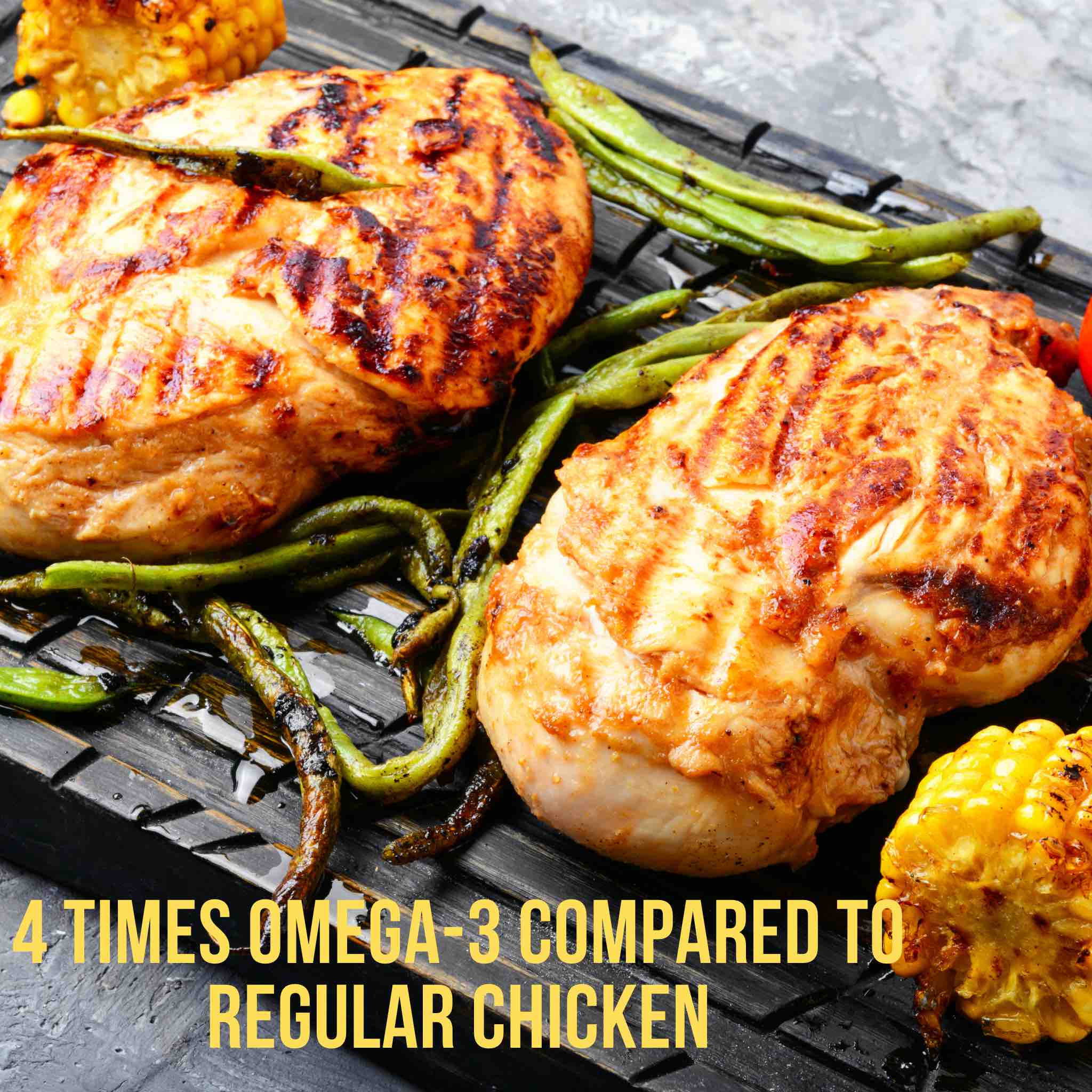 Halal Omega-3 Whole Chicken - Image 3
